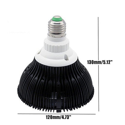 46fdcaf5f8db885a4c4f3e4cfd6f62f1